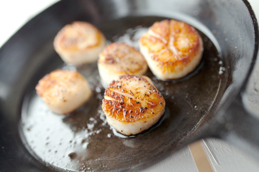 Fresh Cooked Scallops - JustCaught