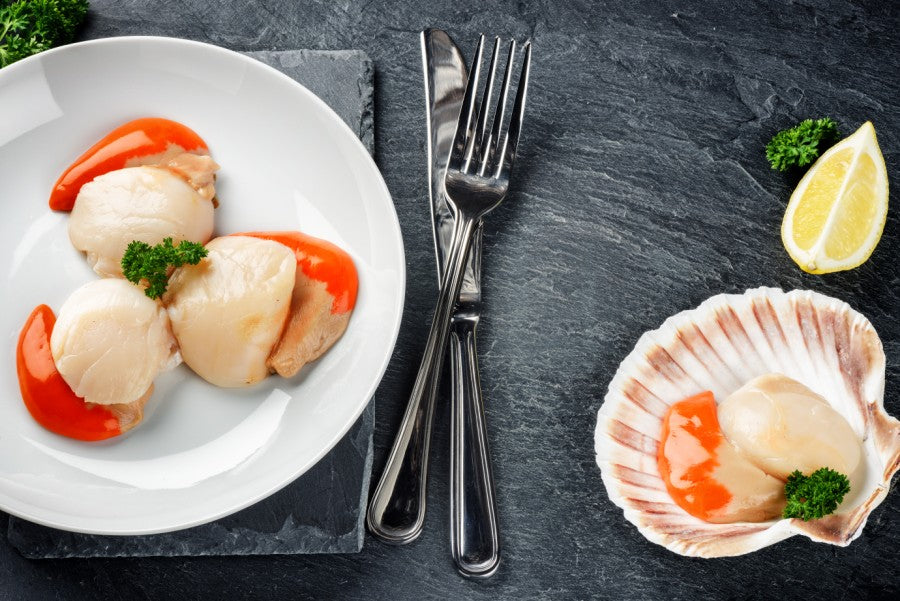 Scallops in Shell