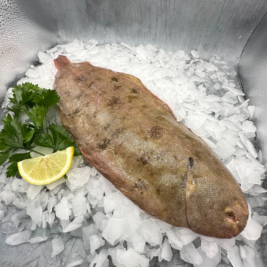 Dover Sole