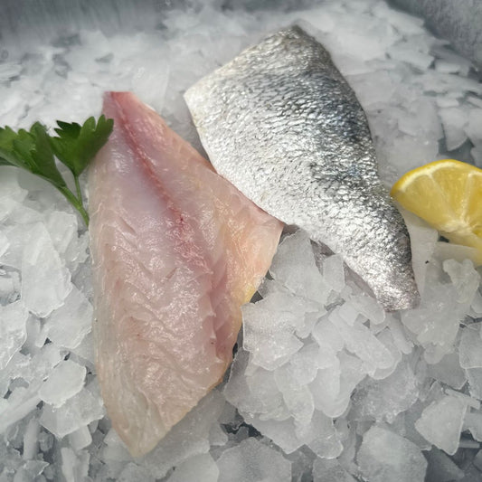 Gilt Head Bream