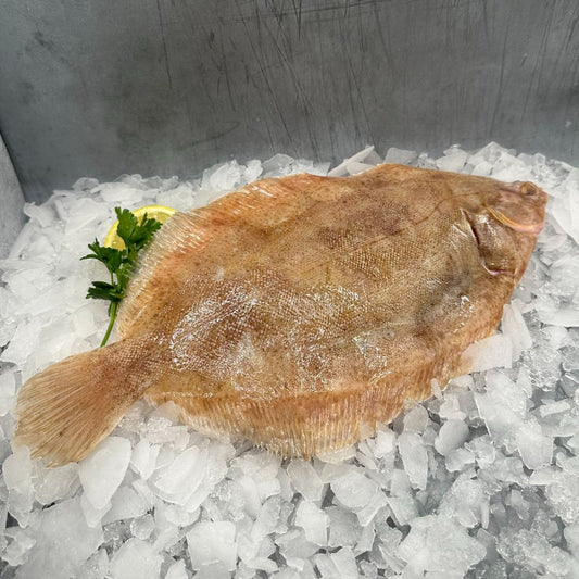 Lemon Sole