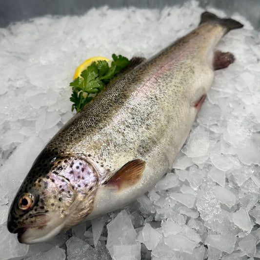 Sea Trout Whole