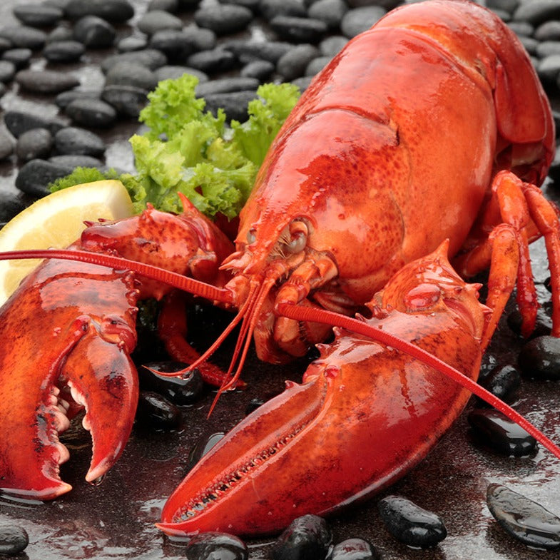 Frozen Cooked Lobster