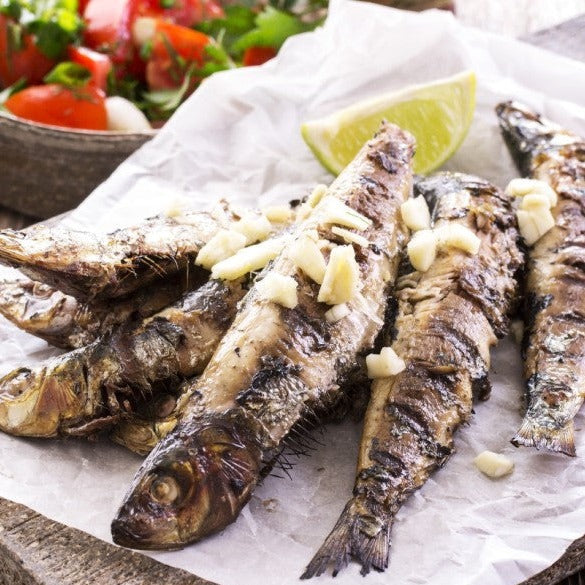 Fresh Sardines