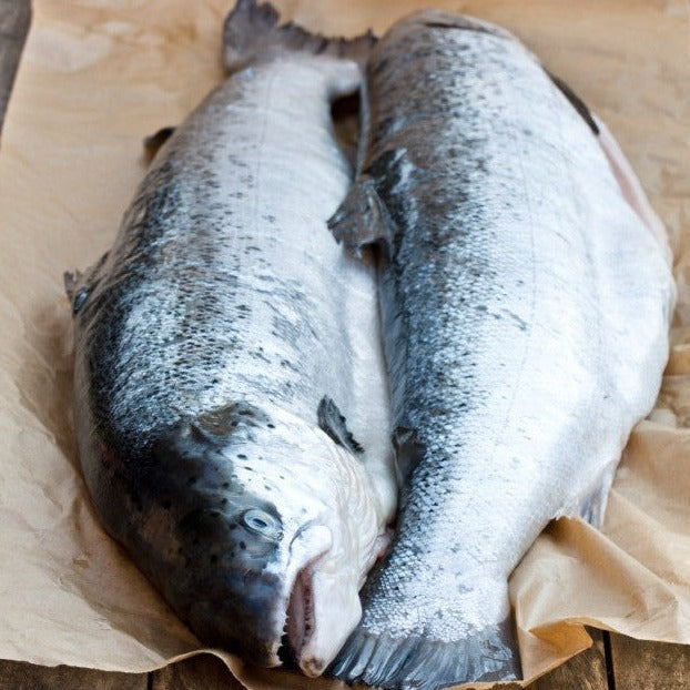 Salmon Whole - 3.5KG